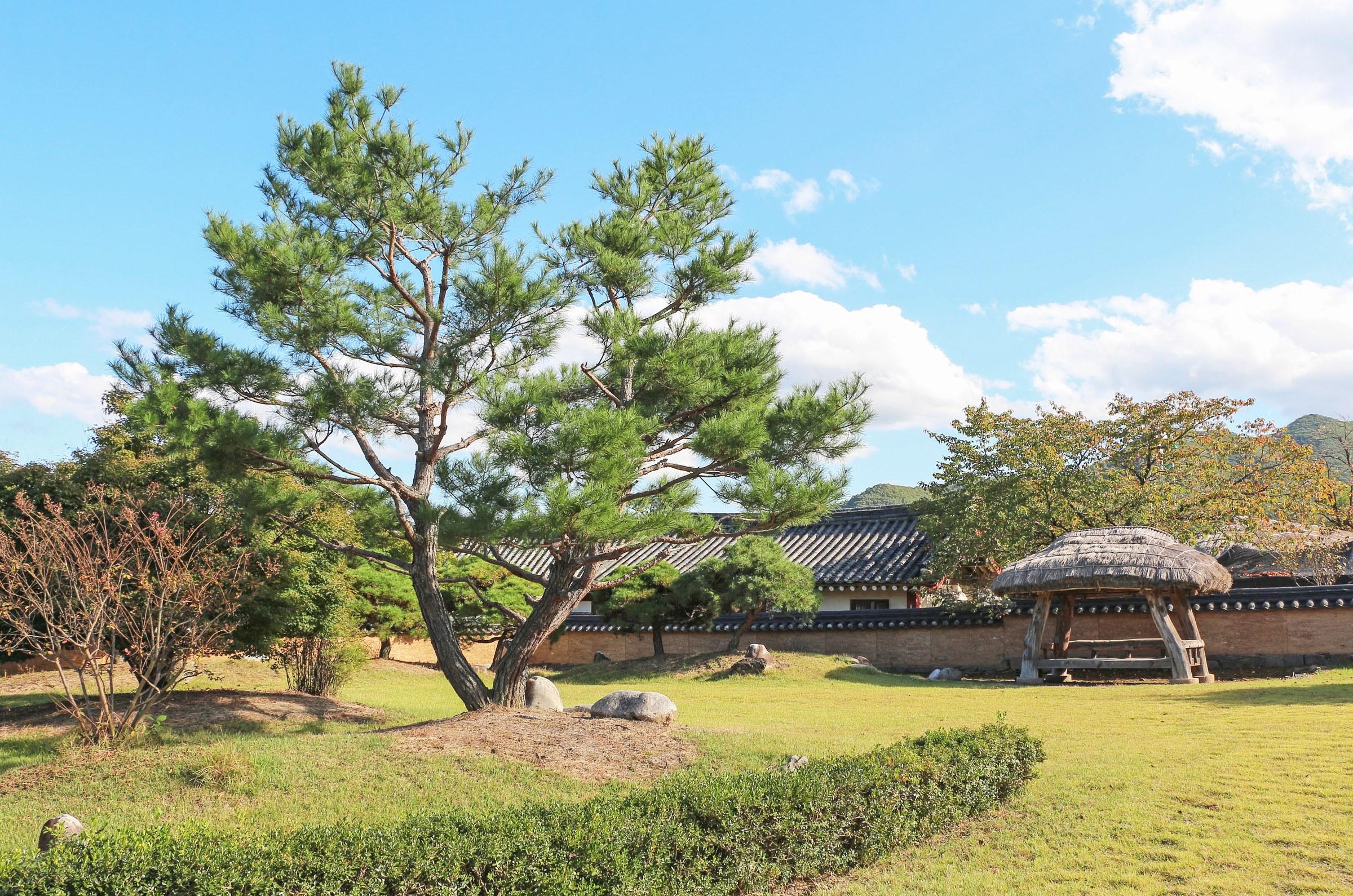 Hahoe Folk Village, Andong — in the region of Bon Appetit, Your Majesty's confirmed Andong filming location (location photo, not a drama still)
