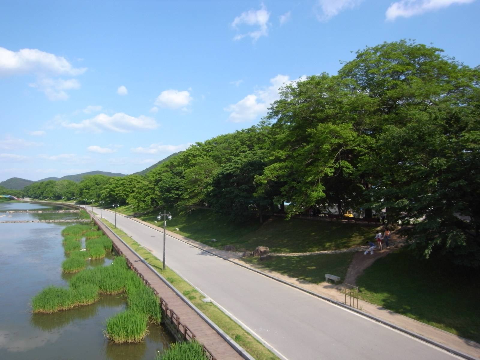 Gwanbangjerim Forest, Damyang (location photo, not a drama still)