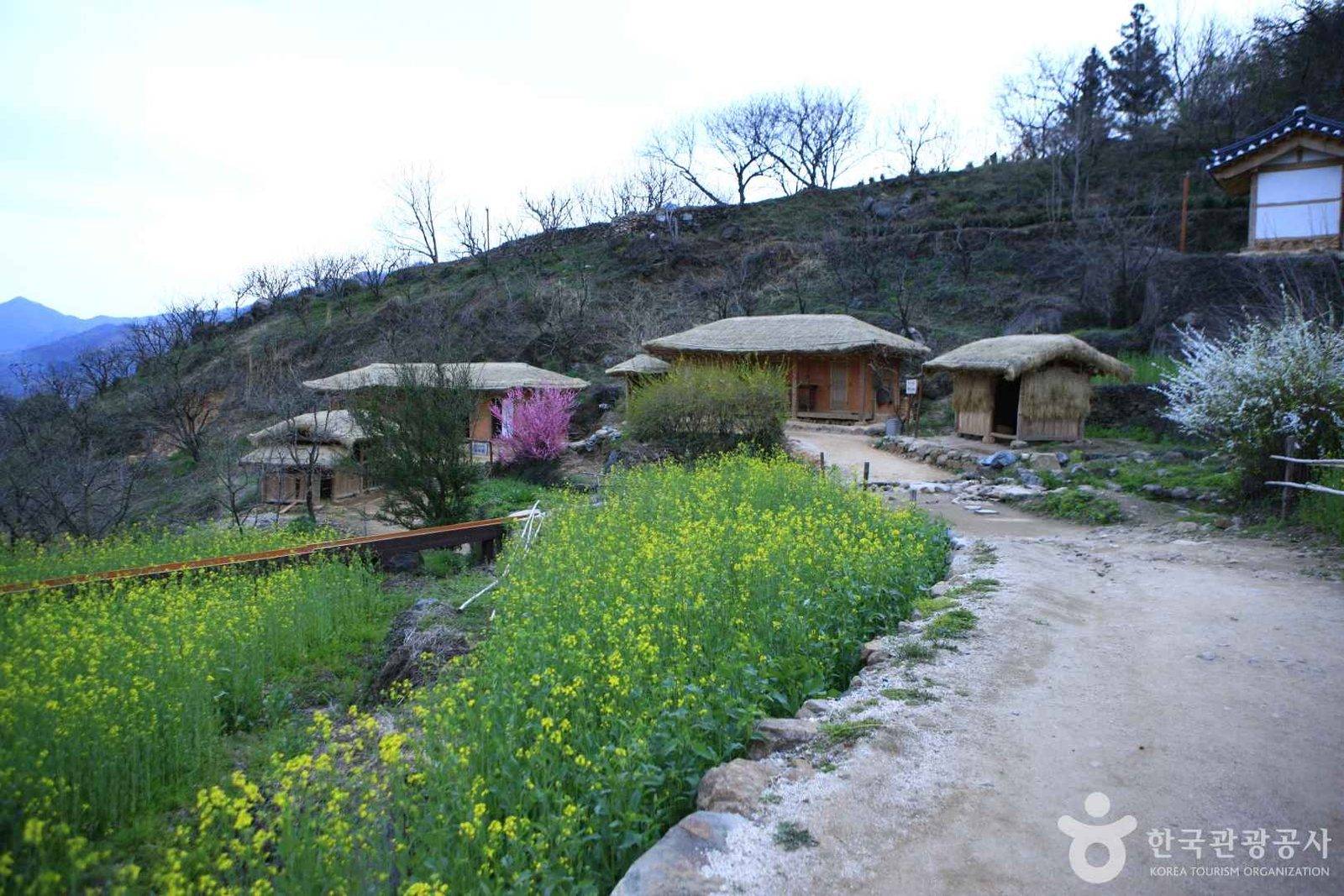 House of Choi Champan, Hadong (location photo, not a drama still)