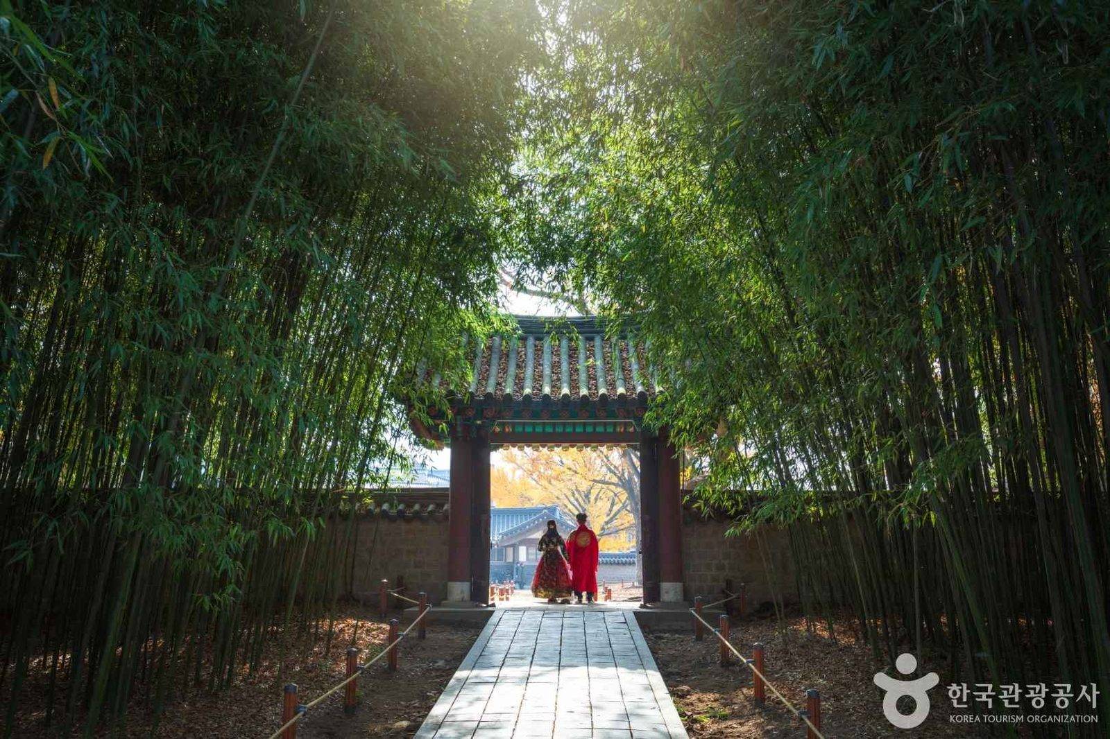 Gyeonggijeon Shrine bamboo grove, Jeonju (location photo, not a drama still)