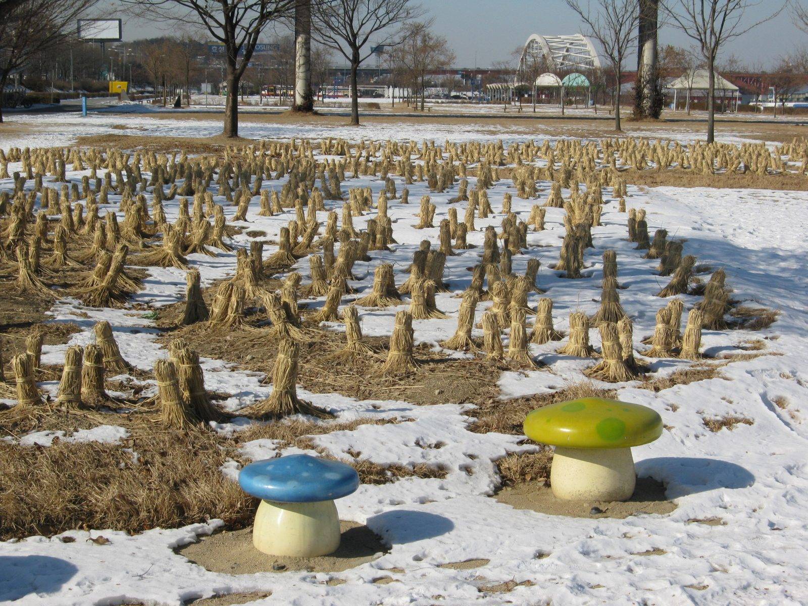 Han River, Seoul (location photo, not a film still)