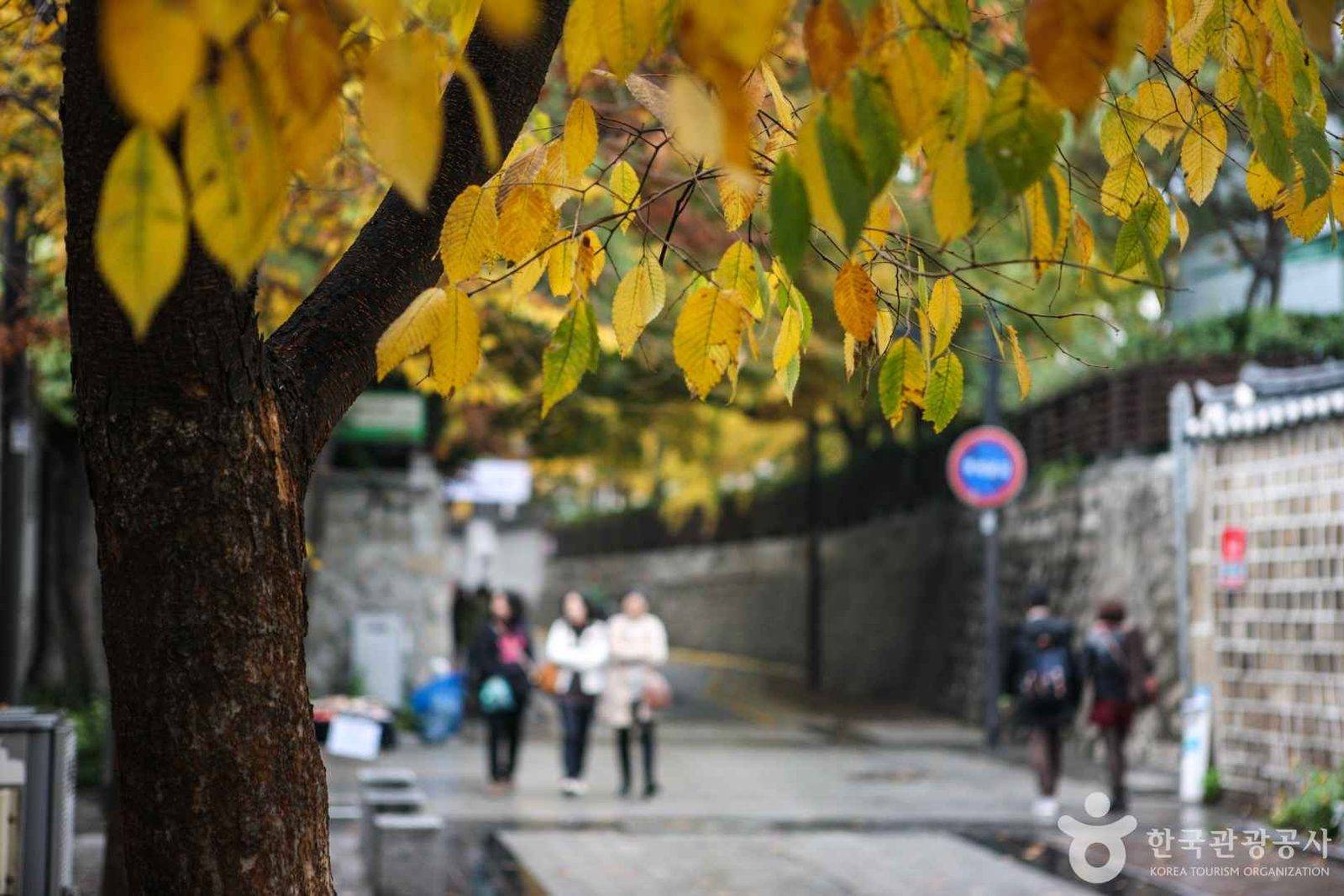 Gamgodang-gil (Yunboseon-gil), Seoul (location photo, not a drama still)
