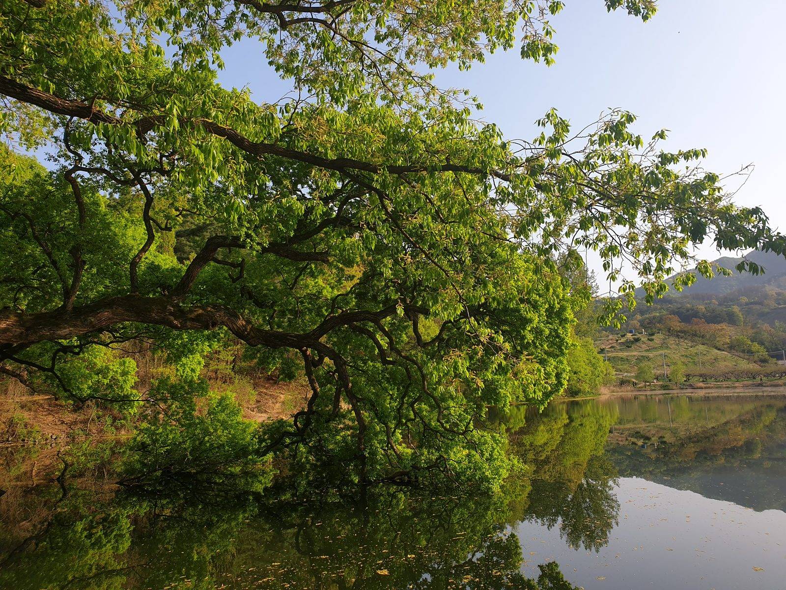 Bangokji Reservoir, Gyeongsan (location photo, not a drama still)